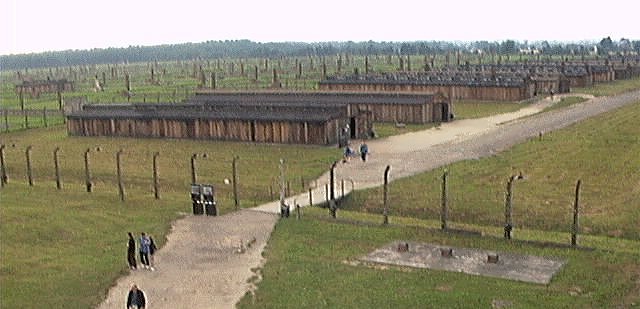 An overview of Birkenau Camp