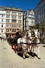 Vienna street scene with horse drawn carriage