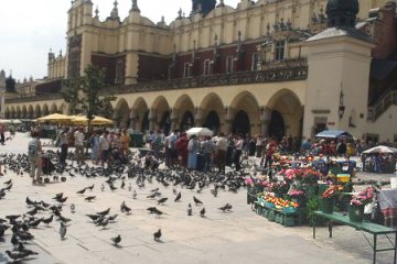 Cloth Hall with Pigeons and Flowers
